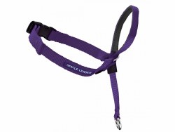 Petsafe Gentle Leader Head Collar - Extra Large - Purple