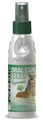 PetzLife - Oral Care Spray - Peppermint - 1 oz