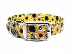Wilderpup - 1" Wide Adjustable Collar - Sunflower - 15-18"
