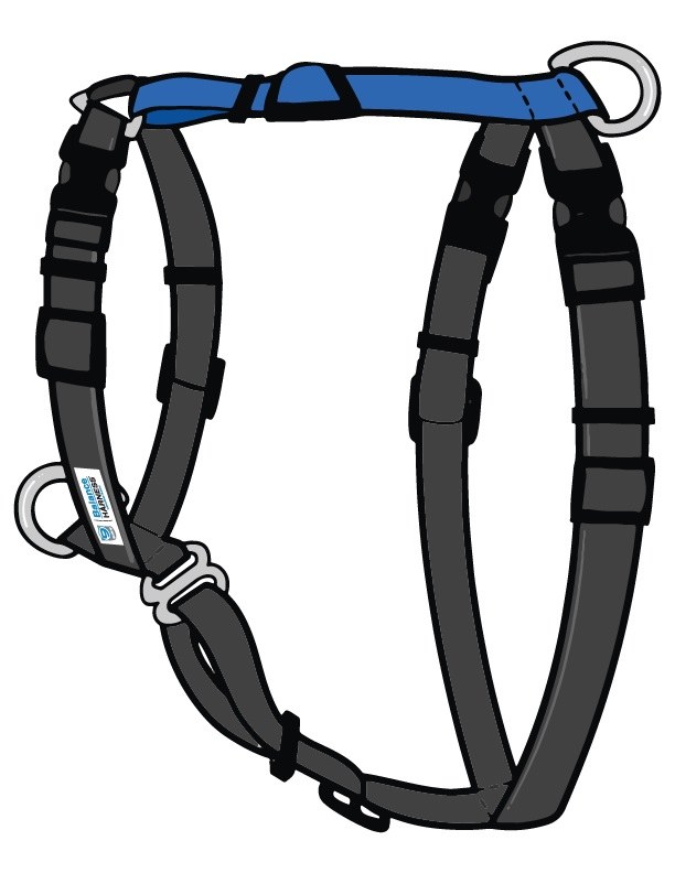 blue 9 balance harness