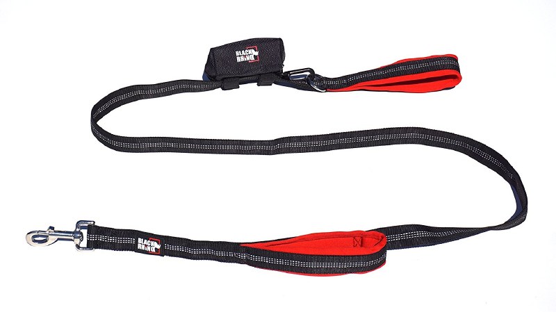 dual handle leash
