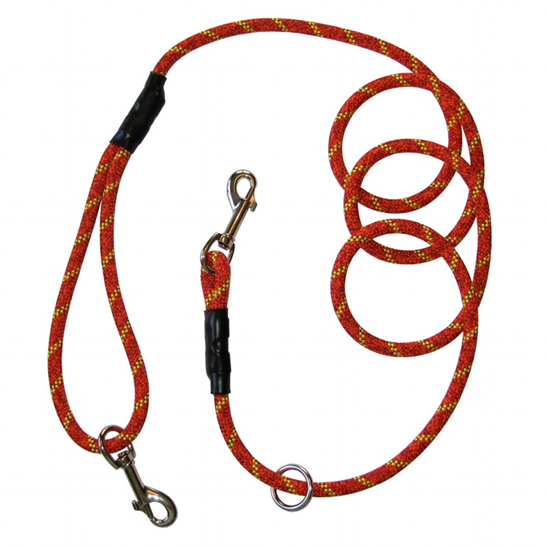 phydeaux dog leash