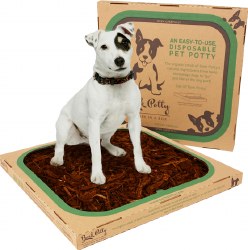 Bark Potty - 24x24x16"