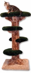 Beatrise - Cat Furniture - Paw Paw Tree - 4'