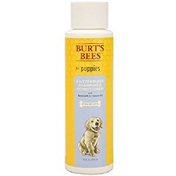 Burt's Bees - Tearless Puppy Shampoo - 16 oz
