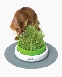 Catit - Cat Toy - Senses 2.0 - Grass Planter