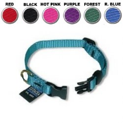Cetacea - Cat Collar - Pink