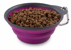 Dexas - Collapsible Travel Cup with Carabiner - Fuchsia - 1 cup