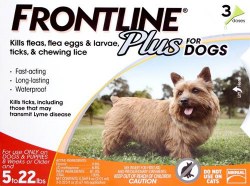 Frontline Plus - 0 to 22 lb Dog - 3 months