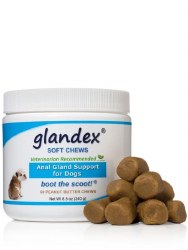 Glandex - Anal Gland Support for Dogs - Peanut Butter Soft Chews - 60ct