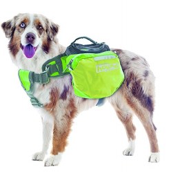 Outward Hound - Quick Release Backpack - Green - Small