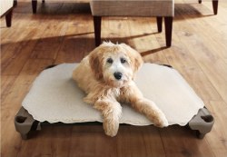Pet Cot Dog Bed - Fleece Cover - Medium