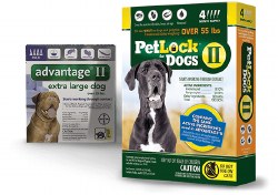 Petlock II - 55 lb and Up - 4 months