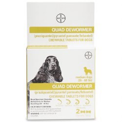 QUAD Dewormer for Dogs - Medium - 2 pack