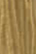 100% Spun Polyester Tex 80 6100