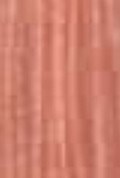100% Spun Polyester Tex 27 6226
