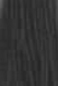 100% Spun Polyester Tex 40 6605