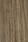 100% Spun Polyester Tex 40 6618