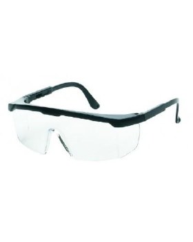 Inox Guardian Safety Glasses