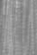 100% Spun Polyester Tex 40 DA072