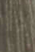 100% Spun Polyester Tex 60 DA115