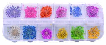 Dry Flower In Box- Mix 12