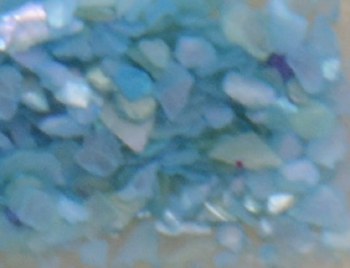 Shell Pieces-500g-lqr-28