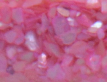 Shell Pieces-500g-lqr-29
