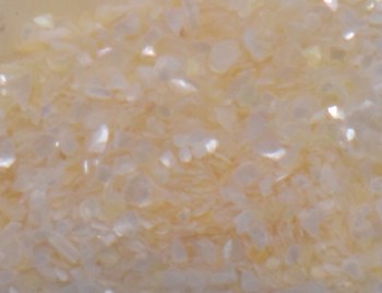 Shell Pieces-125g-lqr-30-2