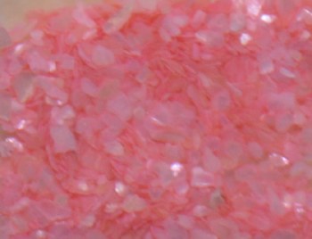 Shell Pieces-500g-lqr-30-4