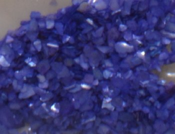 Shell Pieces-500g-lqr-30-5