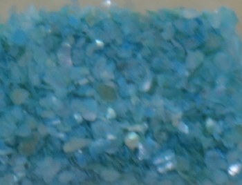 Shell Pieces-500g-lqr-30-8