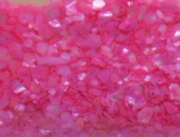 Shell Pieces-125g-lqr-30-11