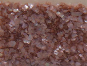Shell Pieces-500g-lqr-30-15