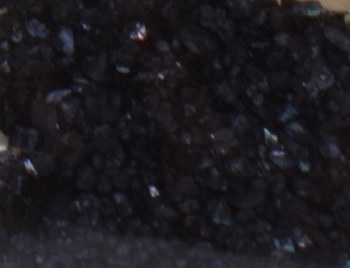 Shell Pieces-500g-lqr-30-17