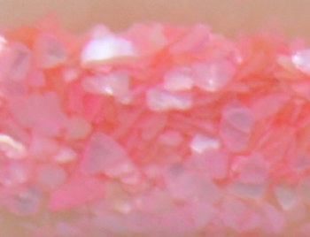 Shell Pieces-500g-lqr-33