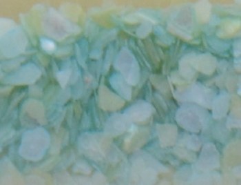 Shell Pieces-500g-lqr-35