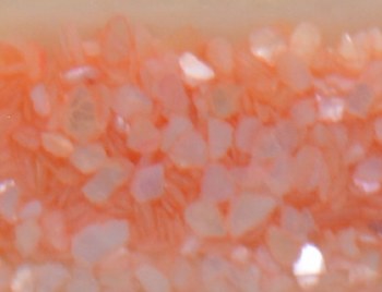 Shell Pieces-500g-lqr-39