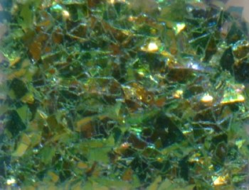 Shell Powder-125g/l-03