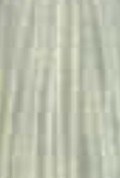 100% Spun Polyester Tex 40 PES776