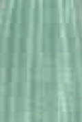 100% Spun Polyester Tex 40 PES779