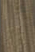 100% Spun Polyester Tex 40 TA039