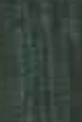 100% Spun Polyester Tex 40 TA241