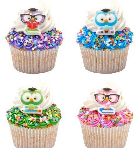 Colorful Grad Owls 3pc