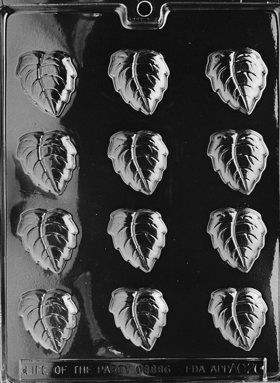 Life of the Party Fall Leaves