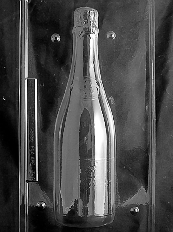 Life of the Party Champagne Bottle Set