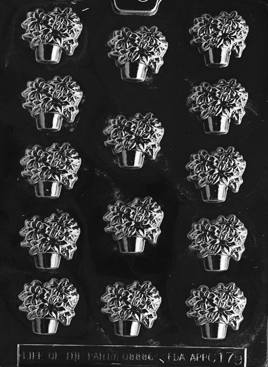 Life of the Party Pot Of Poinsettias