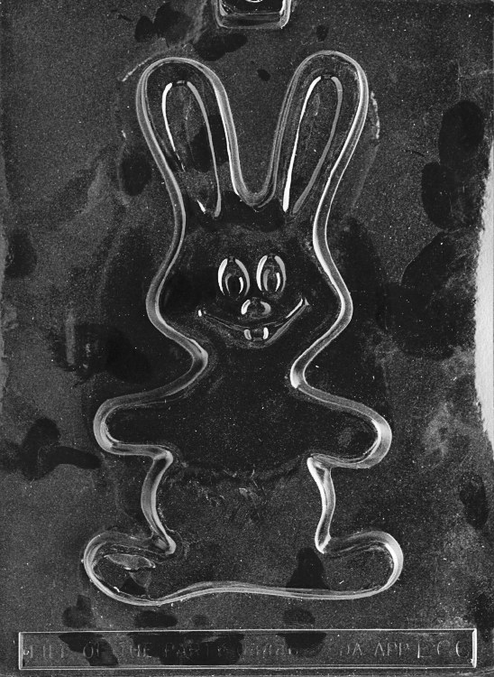 Life of the Party Smiling Bunny