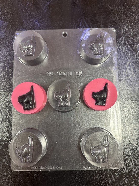 Oreo Mold Cat