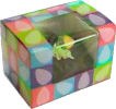 1/2 Lb Bright Eggs Window Box